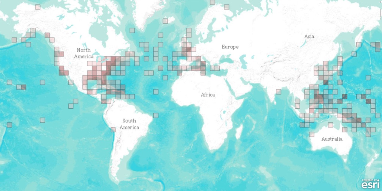 Sunken Military Craft Heat Map